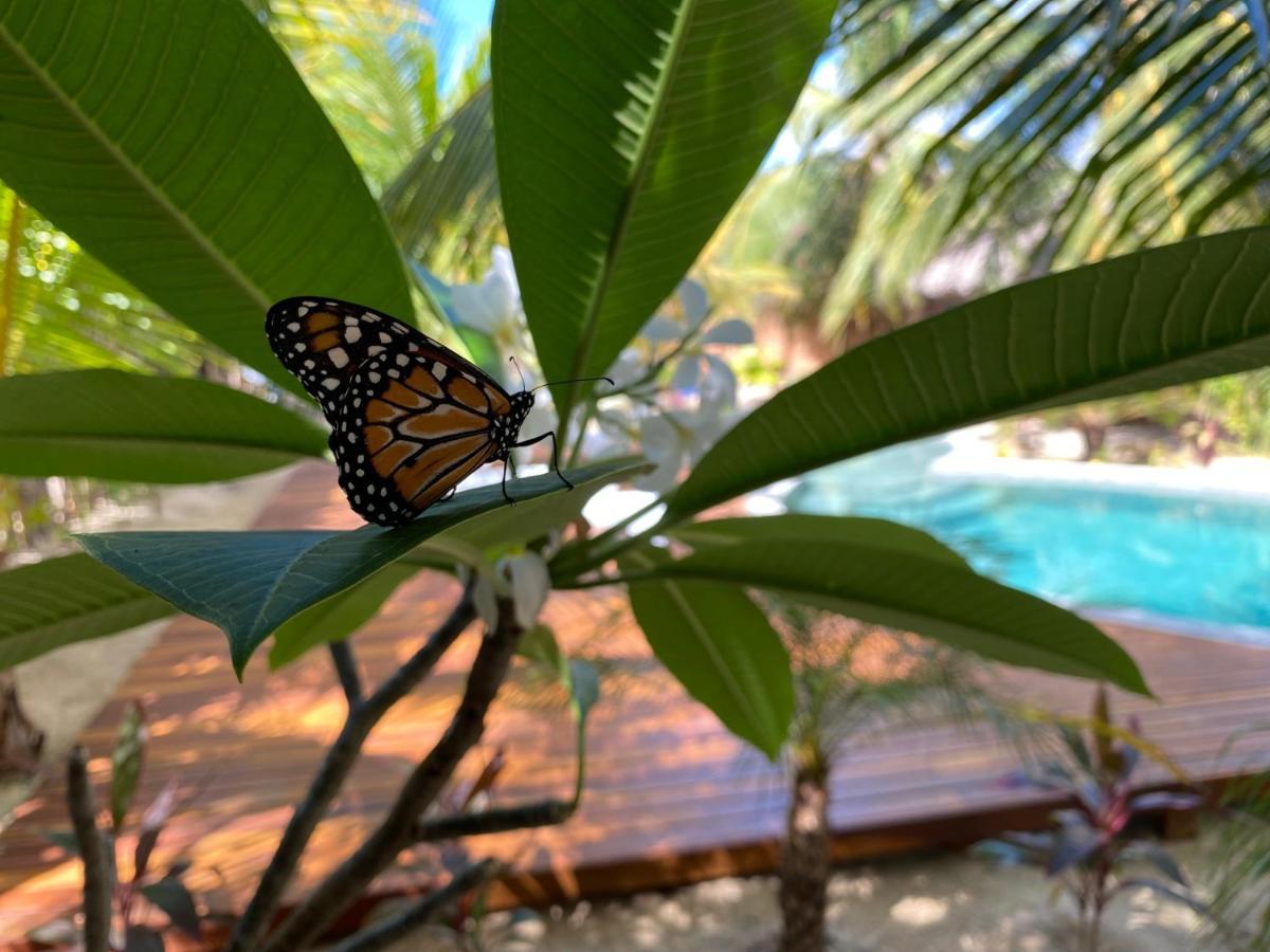 Pousada Villa Zen Barra Grande  Buitenkant foto