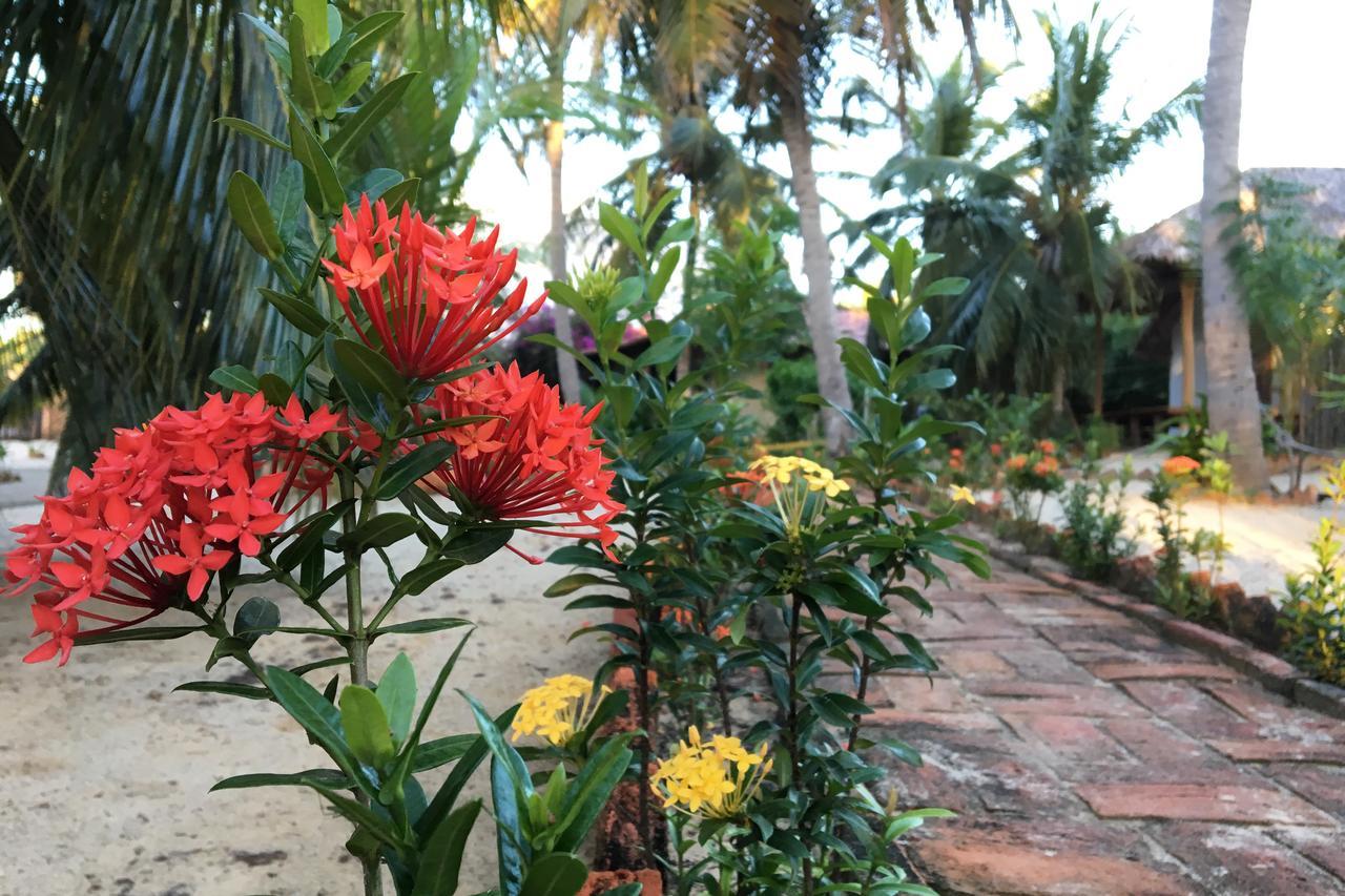 Pousada Villa Zen Barra Grande  Buitenkant foto